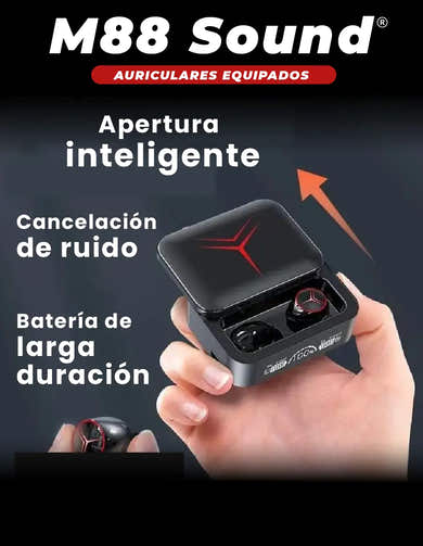 Imagen del carrusel