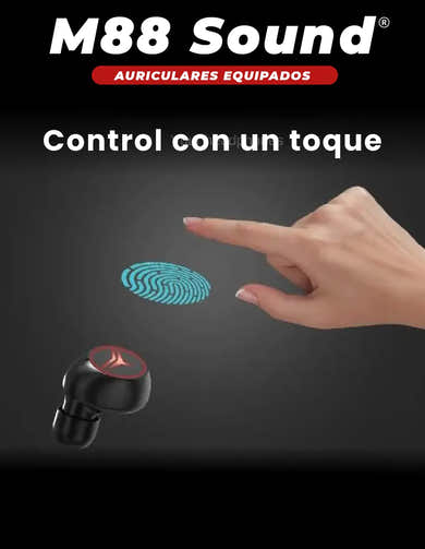 Imagen del carrusel