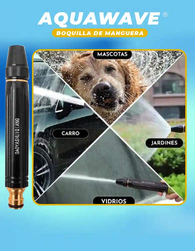 Imagen del carrusel