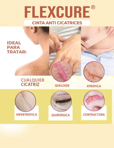 Imagen del carrusel