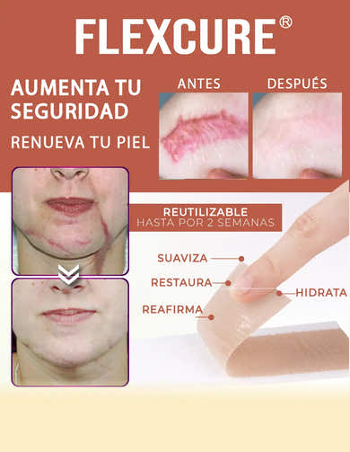 Imagen del carrusel