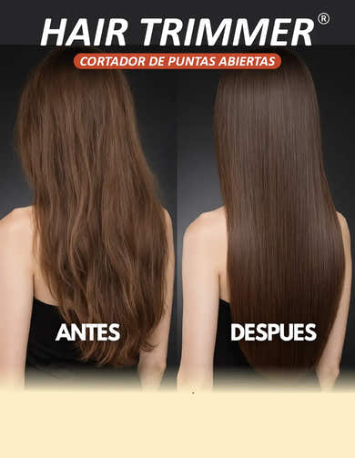 Imagen del carrusel