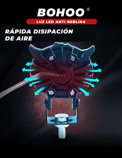Imagen del carrusel