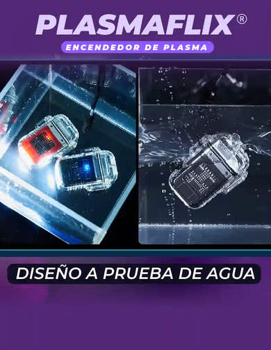 Imagen del carrusel