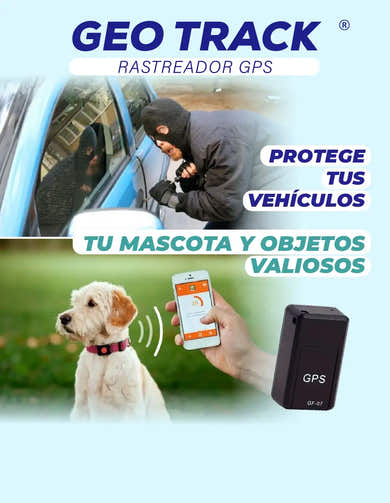 Imagen del carrusel