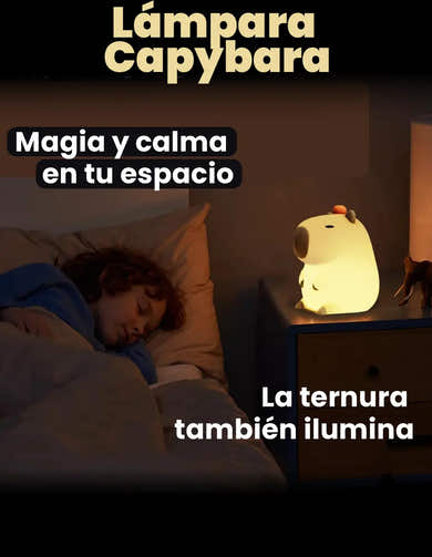 Imagen del carrusel