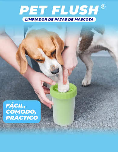 Imagen del carrusel