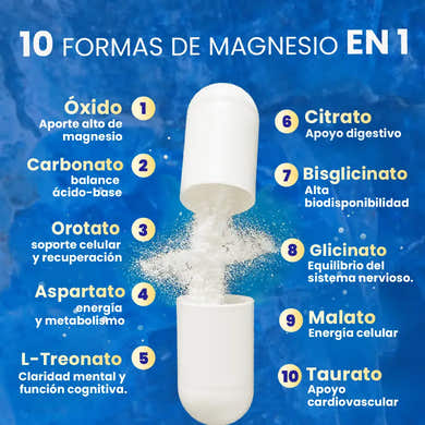 Imagen del carrusel