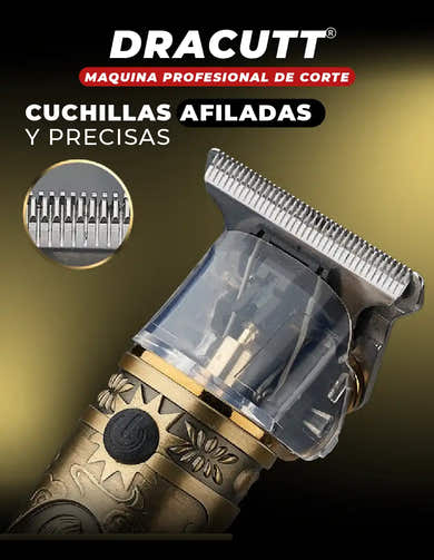 Imagen del carrusel