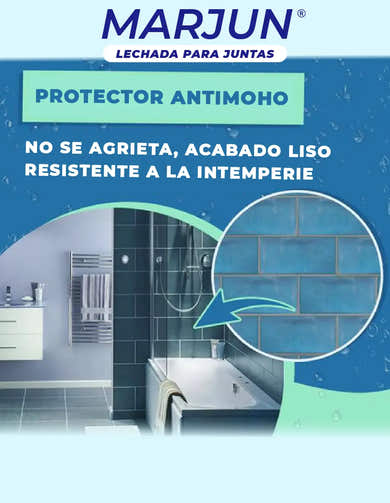 Imagen del carrusel