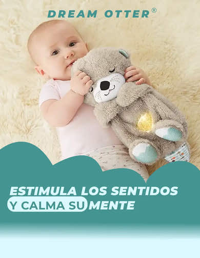 Imagen del carrusel