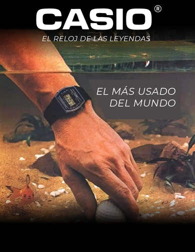 Imagen del carrusel