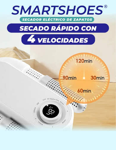 Imagen del carrusel