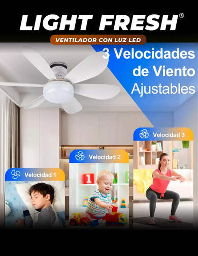 Imagen del carrusel