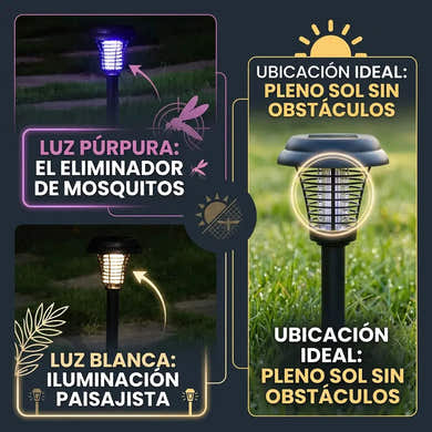 Imagen del carrusel