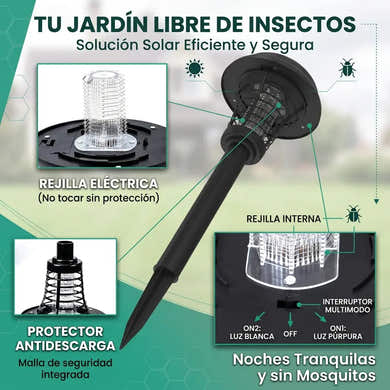 Imagen del carrusel