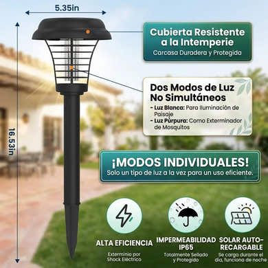 Imagen del carrusel