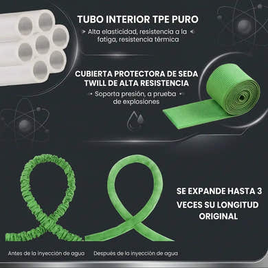 Imagen del carrusel