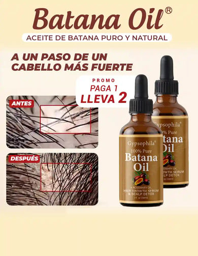 Imagen del carrusel