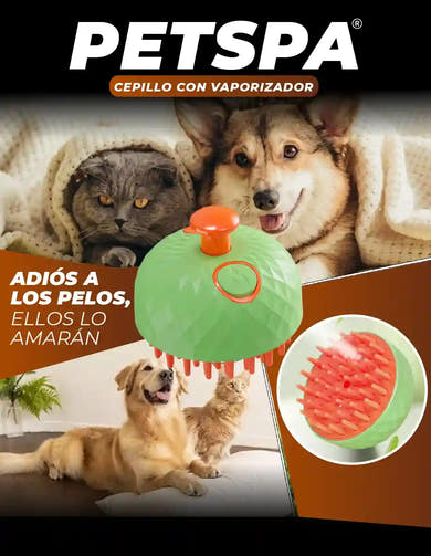 Imagen del carrusel