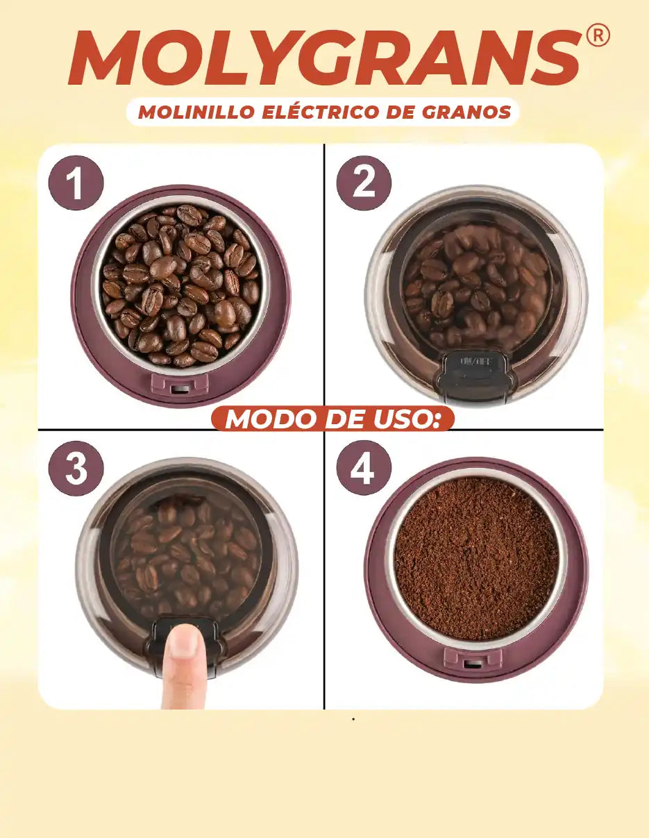 MOLINO CAFE MOLYGRANS [PV1-TIKTOK]