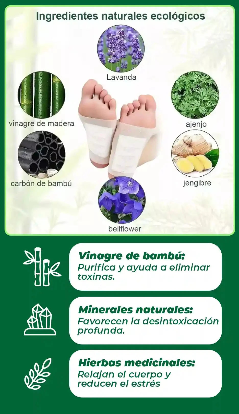 PARCHES DE PIES DESINTOXICANTES [PV1-WHATSAPP-HYPEIMPORTS]