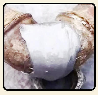After Image